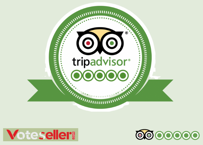 Why Vote seller is best for TripAdvisor review